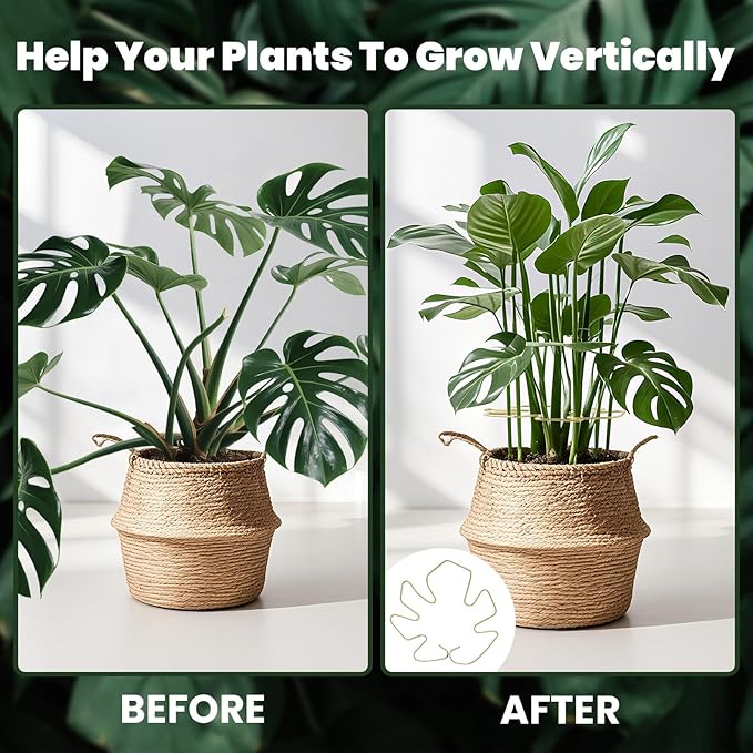 5pcs Plant Stem Support, Support Frame For Outdoor & Indoor Plant Growth Stereotypes-Small