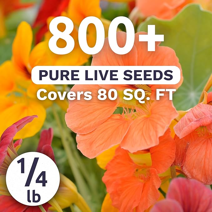 Nasturtium Tip Top Mix – Large 4 Ounce Packet – 800 Flower Seeds for Planting – Tropaeolum majus