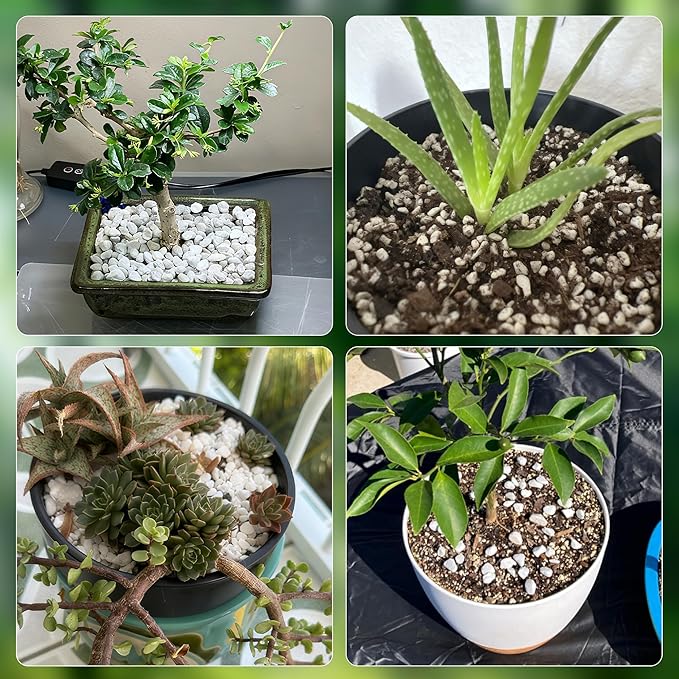 3 Quarts Chunky Perlite for Plant Soil Amendment for Potting Soil, Improves Drainage and Aeration for Soil, Ideal for Succulents, Orchid, Flower Plants (1/4 inch)