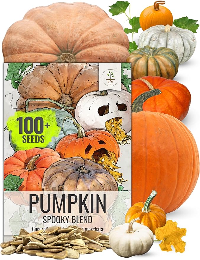 Seed Needs Pumpkin Seeds to Plant Specialty Spooky Blend |10+ Premium Varieties Lumina White, Baby Boo, Blue Jarrahdale, Cinderella & More! | Heirloom Non-GMO Untreated | Bulk