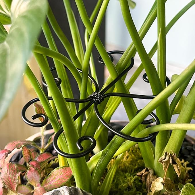 4PCS Metal Plant Stakes for Indoor Plants, 4.3 * 4.1 in Stackable Monstera Stem Support Hook for Growth, Stabilizer for Leaves & Adjustable Clamp Set Accessories for Climbing Plants (Ring)