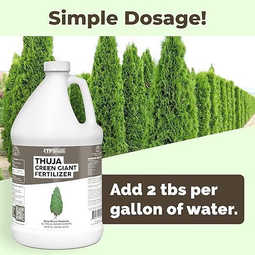 Thuja Green Giant Fertilizer – Liquid Plant Food for Faster Growth, Fuller Green Foliage & Stronger Roots, 1 Gallon