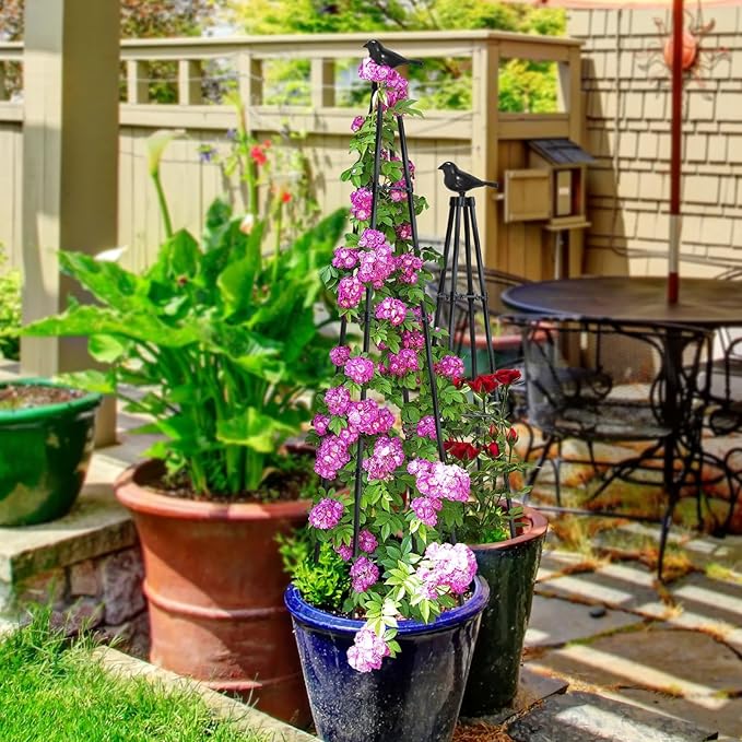 Garden Trellis for Climbing Plants Outdoor, 67" Tall Metal Obelisk Trellis Climbing Plants Support for Vegetable|Flower|Vine, Tomato, Peas, Beans, Cucumber, Lightweight, 2 Pack