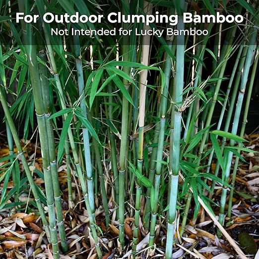 Bamboo Special 12 Month Control Release 13-5-11 High Nitrogen Fertilizer - 2 Pound Package