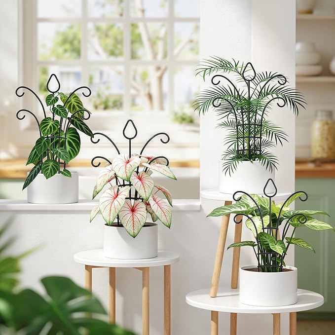 4 Pack Small Plant Trellis for Potted Plants，Metal Indoor Plant Trellis for Climbing Plants，Matte Black Mini Trellis Support with 5-Prong Base & 50 Ties, for Pothos Hoya Ivy, Gift for Plant Lovers
