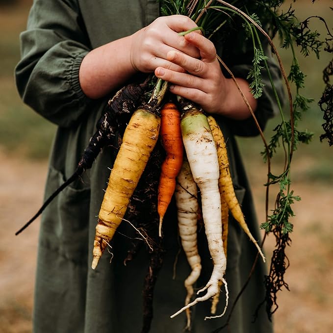 Rainbow Carrot Mix - 150 Seeds - Heirloom & Open-Pollinated Variety, Non-GMO Vegetable Seeds for Planting Indoors or Outdoors in Containers or The Home Garden, Thresh Seed Company