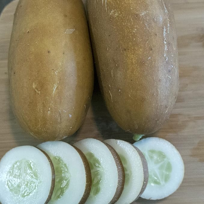 Brown Russian Cucumber Seeds - 3 g Packet ~90 Seeds - Non-GMO, Heirloom - Vegetable Garden - Cucumis sativus