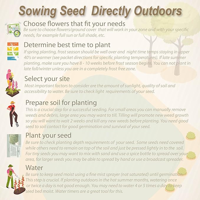 Outsidepride Strawberry Twist Mix Gerbera Seeds - 20 Pcs Perennial, Compact & Low Maintenance, Flower Seeds for Planting w/Semi-Double Blooms, Ideal for Garden Landscaping & Cut Flower Arrangements