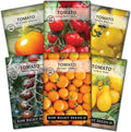 Sow Right Seeds - Cherry Tomato Seed Collection for Planting - Black, Large Red, White, Orange, Bi-Color Cherry and Yellow Pear Tomatoes - Non-GMO Heirloom Varieties to Plant a Home Vegetable Garden