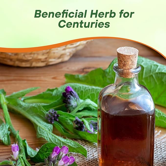 Outsidepride Comfrey Seeds - 100 Pcs. Perennial, Drought-Tolerant & Low Maintenance, Herb Seeds for Planting Tall, Vibrant Bell-Shaped Purple Blooms for Versatile Uses & Pollinator Gardens