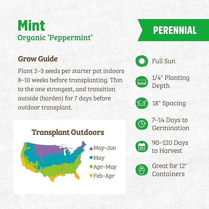 Back to The Roots 100% Organic Seed Packets - Peppermint (Pack of 2)
