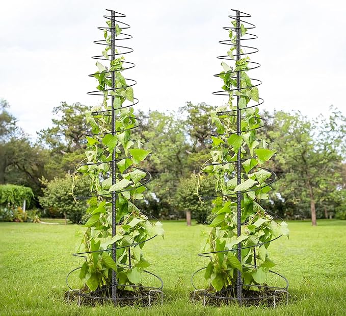 HOME RIGHT Metal Garden Trellis for Climbing Plants, 2 Pack 48 inch Tall, Black, Rectangular
