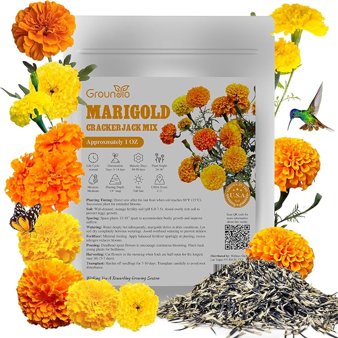 Groundio Marigold Seeds, 1 OZ Over 9500+ Seed, Cracker Jack in Mix Color for Planting Indoor & Outdoor, Attract Pollinators, Non-GMO | Heirloom | USDA Zone 2-11