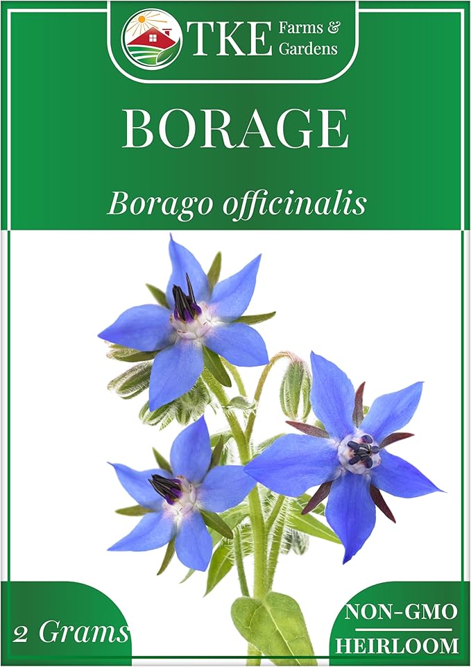 TKE Farms & Gardens - Borage Seeds for Planting, 100+ Non-GMO Heirloom Seeds, Attract Bees & Pollinators, Fast Growing Companion Plant for Tomatoes & Strawberries, Includes Instructions
