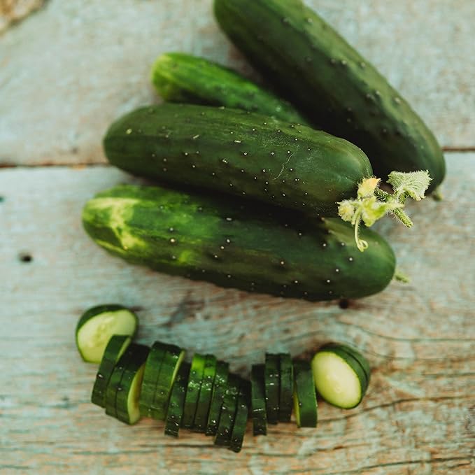 Marketmore 76 Cucumber - 25 Seeds - Heirloom & Open-Pollinated Variety, USA-Grown, Non-GMO Vegetable Seeds for Planting Indoors or Outdoors in The Home Garden, Thresh Seed Company