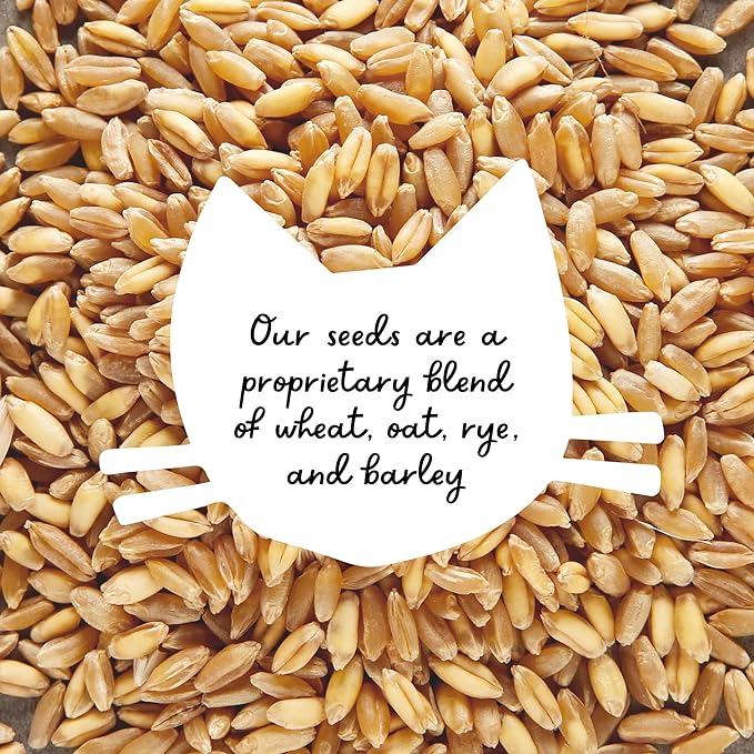 The Cat Ladies Cat Grass for Indoor Cats - Growing Kit - Organic Cat Grass Seeds, Soil and BPA Free Containers (Non GMO) - Locally Sourced Seeds! (3 Pack)