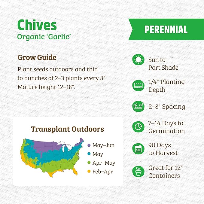 Back to The Roots 100% Organic Seed Packet - Chives 'Garlic' 140mg