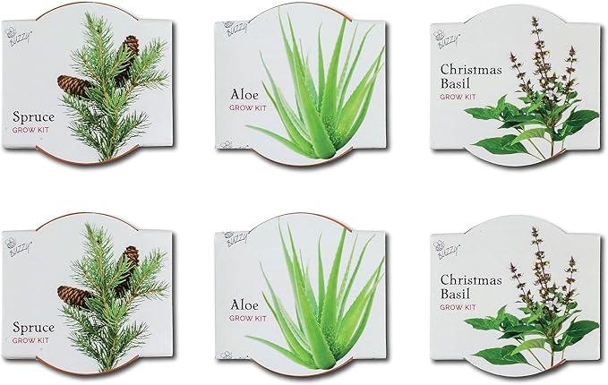 BUZZY Seeds Terracotta Mini Grow Pots 6-Pack Radiant Series – Mixed Herb, Succulent, and Tree Seed Kit for Indoor Gardening and DIY Projects