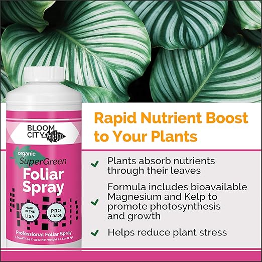 Bloom City Supergreen Organic Kelp Foliar Spray – Liquid Plant Supplement for Faster Nutrient Uptake, Greener Leaves & Vigorous Growth, 1 Gallon