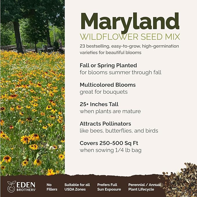 Eden Brothers Maryland Wildflower Mixed Seeds for Planting, 1/4 lb, 120,000+ Seeds with Shasta Daisy, Cornflower | Attracts Pollinators, Plant in Spring or Fall, Zones