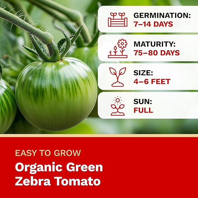 The Harvest Company Organic Seeds Collection – USDA Certified, Non-GMO, Open-Pollinated for Indoor & Outdoor Planting (Green Zebra Tomato)