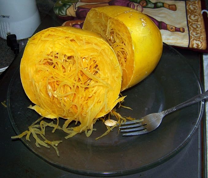 Seeds Squash Zucchini Yellow (Inside Like Spaghetti) Large Summer Vegetable for Planting Non GMO