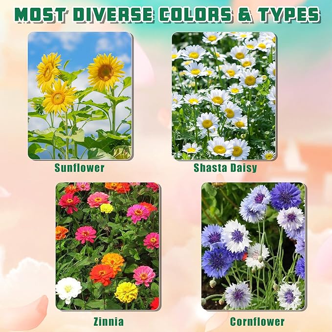 Sproutix Indoor Daisy Garden Starter Kit, 4 Flower Seeds Growing into Shasta Daisy, Cornflower, Sunflower, Zinnia, Including Complete Gardening Tools, Christmas Gifts for Women Men & Beginners