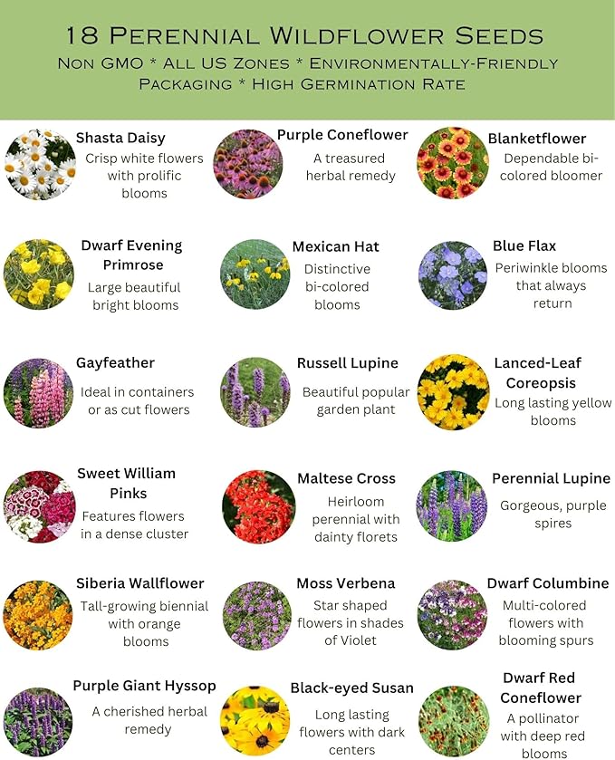 Nationwide Perennial Wildflower Seed Mix 1/4LB 500sq-ft Lupine Shasta Daisy Attract Pollinators, Spring Fall, Zones 3, 4, 5, 6, 7, 8, 9, 10 (All U.S.) Earth-Friendly Packaging