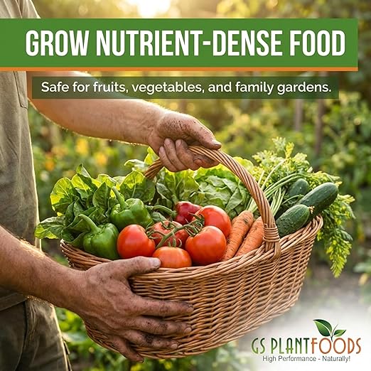 GS Plant Foods Root Ruckus Compost Fertilizer Organic Plant Food - Turbo Charged Compost for Plants - Humic Acid & Sea Kelp Nutritional Root Supplement for Lawns, Soil, Shrubs & Vegetables - 1 Gallon