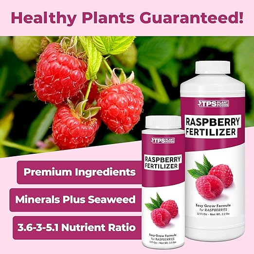 Raspberry Fertilizer for Raspberry Plants, Supports Healthy Growth and Plump Berries in Raspberry Plants, Liquid Fertilizer by TPS Plant Foods, 8 oz (250mL)