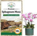 ZeeDix 10.6 oz Premium Sphagnum Moss for Plants Indoor, New Zealand Sphagnum Moss for Orchid Potting Mix Terrarium Succulent Carnivorous Ferns Hosta Garden & Reptile Habitat (Expands to 12L)