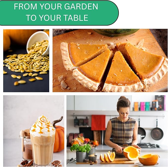 Woods Creek Seeds: Jack O Lantern Pumpkin Seeds for Planting - Over 40 Heirloom Non-GMO Pumpkin Seeds to Plant - Ideal Heirloom Seeds to Grow for Decor & Fall Harvest - Pumpkins for Outdoor Gardens