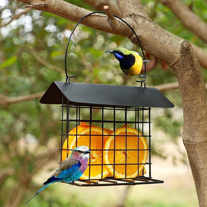 winemana Suet Feeder for Outside Hanging, Metal Suet Cake Holder Squirrel Proof, Weatherproof Bird Feeders for Wild Birds Woodpecker, Single Suet Cage for Outdoor Garden