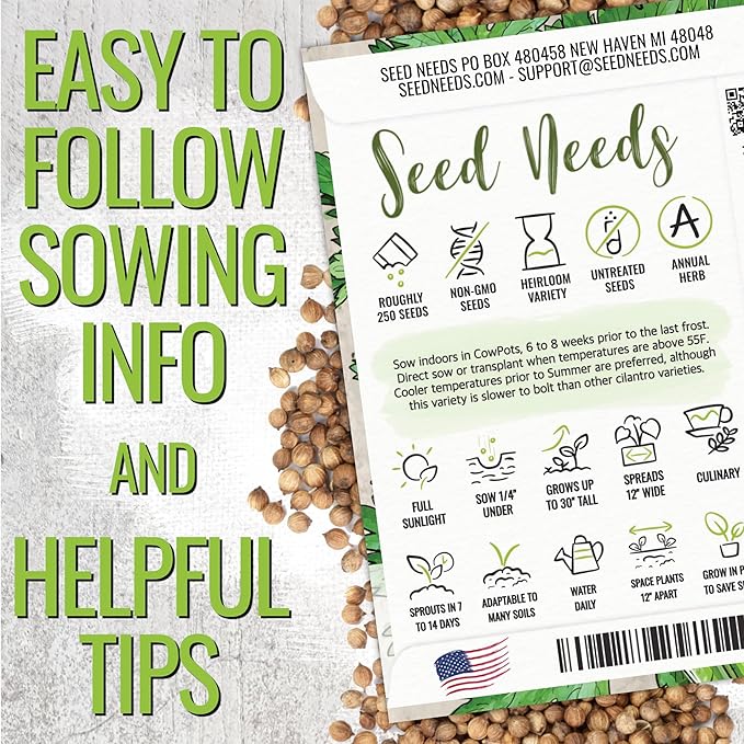 Seed Needs Coriander Seeds for Planting Culantro & Cilantro - Non-GMO Heirloom & Untreated Herb Seed to Plant an Indoor/Outdoor Culinary Medicinal Garden (Collection of 2 Packets)