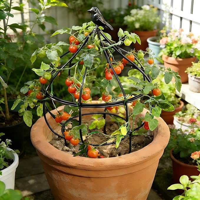 Sturdy Metal Garden Obelisk Trellis for Climbing Plants - 11.5" x11.5" x18" Versatile Support for Roses, Topiaries & Houseplants - Easy to Assemble, Durable & Decorative for Indoor/Outdoor Displays