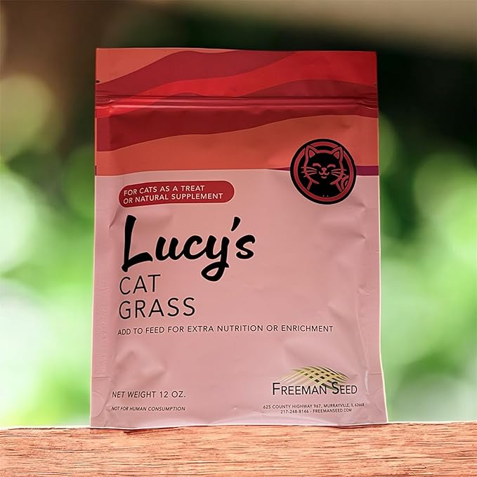 Cat Grass Seeds for Indoor Cats – Non-GMO Oats & Rye Sprouting Seed Mix | Easy to Grow Fresh Cat Grass for Digestion & Hairball Support | High Germination (8 oz)