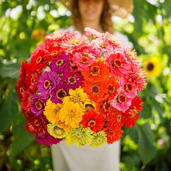 Eden Brothers Zinnia Seeds - Over The Rainbow Mix, Non-GMO Seeds for Planting, 1 oz | Low-Maintenance Flower Seeds, Plant During Spring, Zones 3, 4, 5, 6, 7, 8, 9, 10