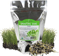 Onion Sprouting & Microgreens Seeds – 1 LB – Non-GMO, Chemical-Free – High-Germination Seeds for Fresh Onion Sprouts, Flavorful Micro Greens, Hydroponic Growing, and Indoor Gardening