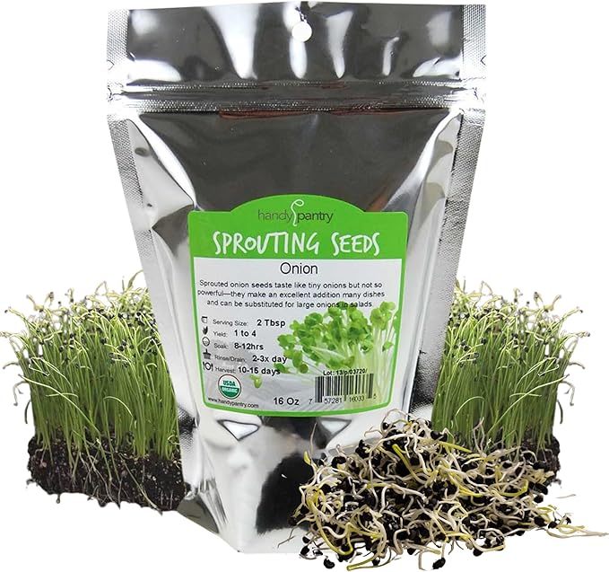 Onion Sprouting & Microgreens Seeds – 1 LB – Non-GMO, Chemical-Free – High-Germination Seeds for Fresh Onion Sprouts, Flavorful Micro Greens, Hydroponic Growing, and Indoor Gardening