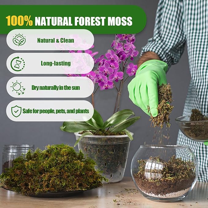 Dried Forest Moss for Plants (5 qt / 1 Pack), Sphagnum Potting Moss for Various Plants, Including Orchids, Carnivorous Plants, Succulents, Garden Flowers, and Reptiles