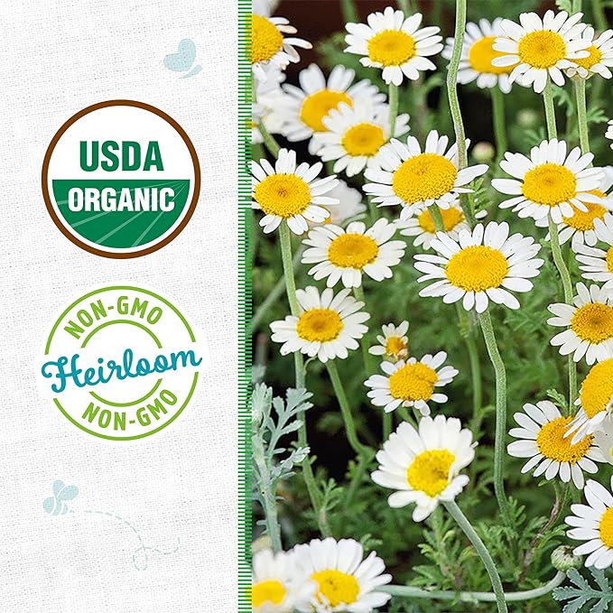 Back to The Roots 100% Organic Seed Packet - Chamomile 'German' 70mg