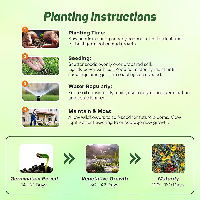 Outsidepride Gulf Coast Wildflower Seed Mix - 1 lb Perennial & Annual Wild Flowers for Full Sun & Partial Shade - Ideal for Pollinator Gardens & Vibrant Landscapes for Southern Florida & Texas