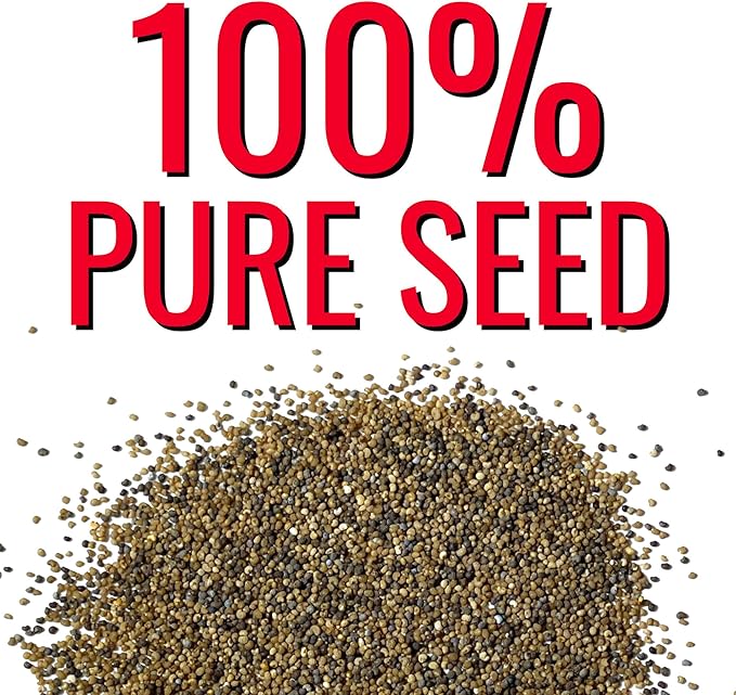 Seed Needs Antique Shades Peony Poppy Seeds for Planting - Heirloom & Open Pollinated Annual Flowers - Grow a Butterfly Garden for Pollinators (1 Pack)