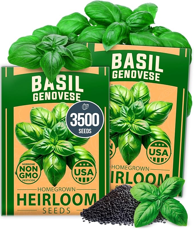 HOME GROWN Genovese Basil Seeds 2 Pack 3500 & Peppermint 4,740 & White Sage 646 & Lemon Balm 806