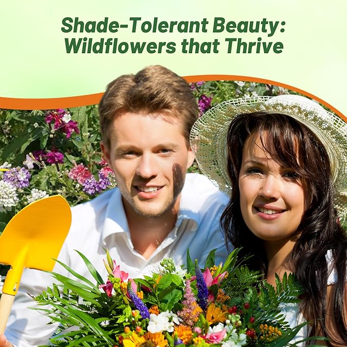 Outsidepride Partial Shade Wild Flower Seed Mix for All States - 1 lb. Premium Blend of Annual & Perennial Wildflowers, Perfect for Partial Shade Areas, & Outdoor Planting for Gardens & Lawns