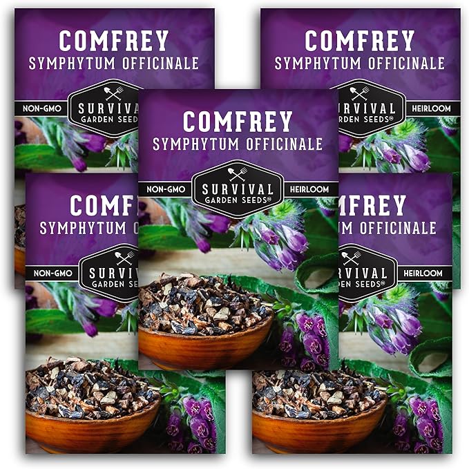 Comfrey Seeds for Planting - Symphytum Officinale Medicinal Perennial Herb for Compost Tea & Natural Skincare - True Slippery Root Non-GMO Heirloom - Survival Garden Seeds (5 Pack)