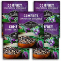 Comfrey Seeds for Planting - Symphytum Officinale Medicinal Perennial Herb for Compost Tea & Natural Skincare - True Slippery Root Non-GMO Heirloom - Survival Garden Seeds (5 Pack)