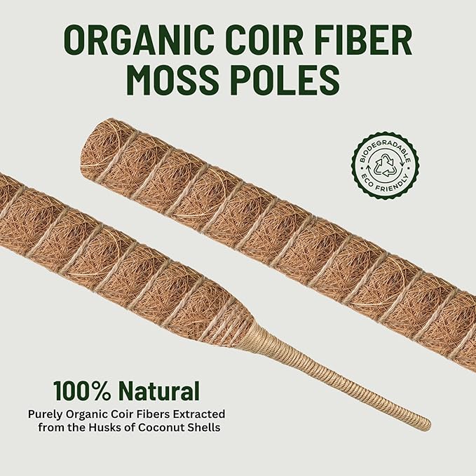 2 Pack 63 Inch Moss Pole for Plants, Tall Moss Poles for Climbing Plant-Monstera, Handmade Coco Coir Pole, Monstera Plant Support for Plant Grow