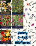Birds & Butterfly Wildflower Seed Mix (5-Seed Packets) – Vibrant Pollinator Flowers That Attract Butterflies & Provide Seed for Birds