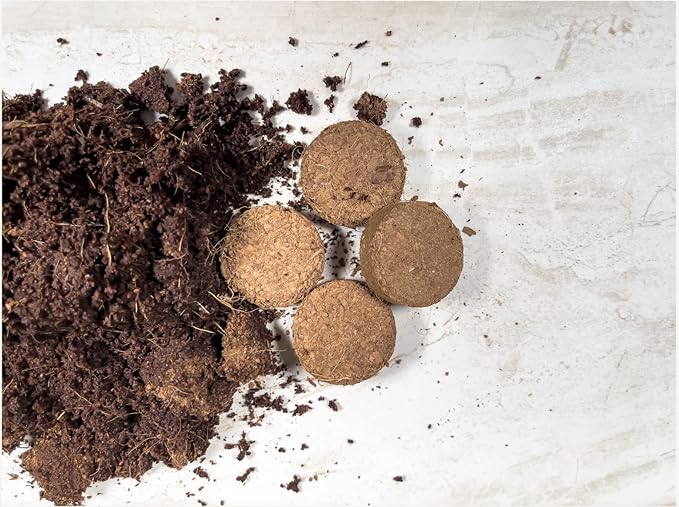 Envelor Coco Coir Seed Starting Mix Pellet for Seed Starter Tray Potting Soil for Indoor Plants Nursery Pots Flower Seeds Herbs Microgreens Succulent Soil Coco Growing Media, 1.2 Inches 100 Pack